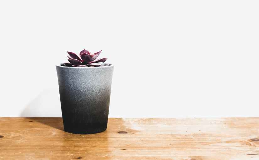 Letting Go of The&nbsp;Past